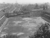 The Dell