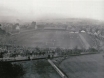 Molineux Stadium