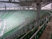 Stadion Miejski w Wrocławiu