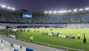 Boris Paichadze Dinamo Arena