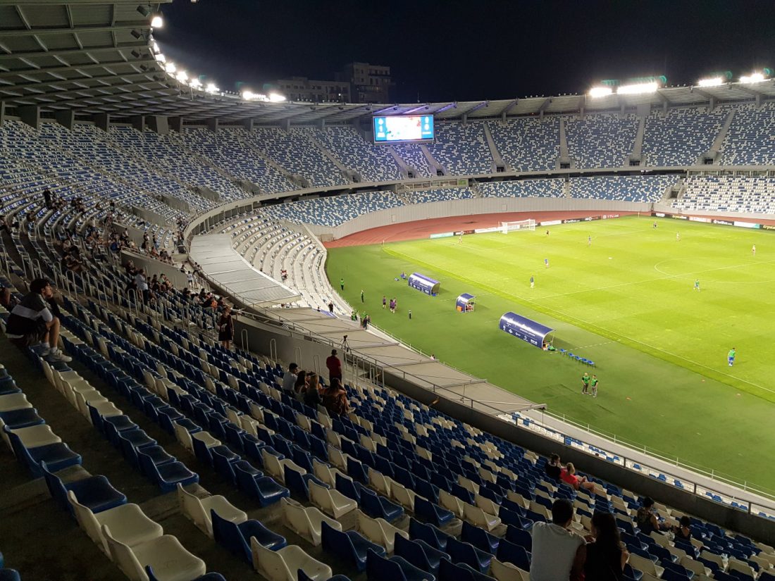 Boris Paichadze Dinamo Arena