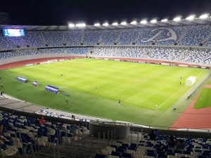 Boris Paichadze Dinamo Arena