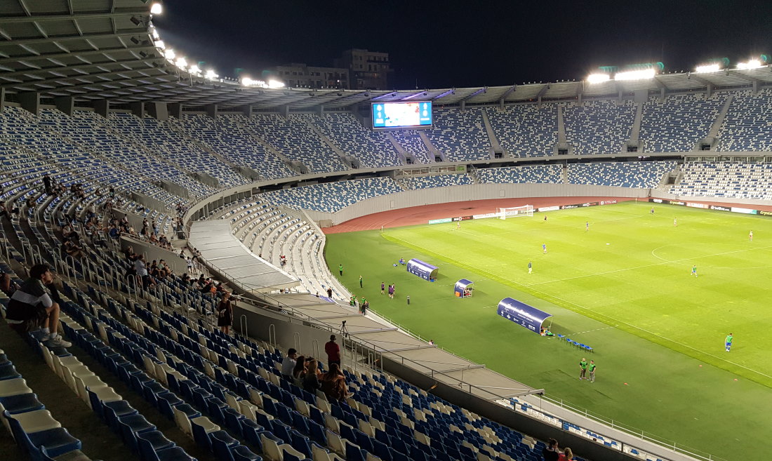 Boris Paichadze Dinamo Arena