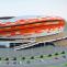 Mordovia Arena